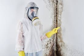 Best Mold Damage Restoration  in Lucasville, OH